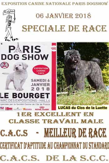 LUCAS du Clos de la Luette meilleur de Race Paris DOGSHOW 2018